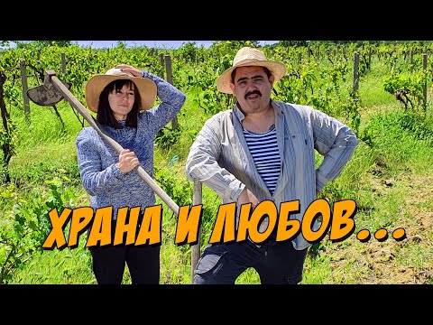 Видео: Храна и Любов