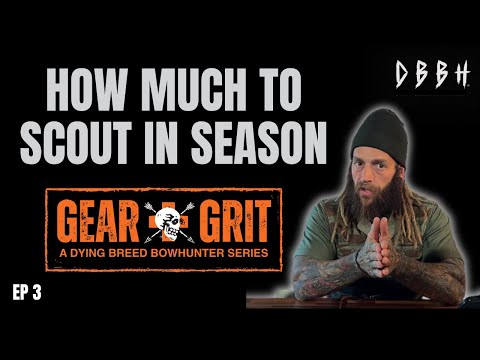 Видео: Частота наблюдений за белохвостыми оленями в течение сезона | Gear and Grit EP3