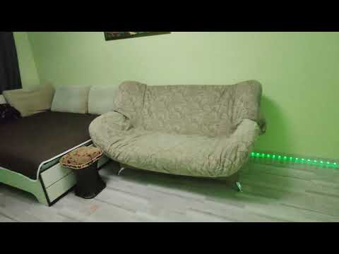 Видео: 23 сентября 2025 г.