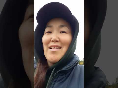 Видео: Поехали в лес. В тайгу. #бурятия #тайга