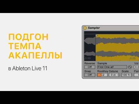 Видео: Как подогнать темп акапеллы в Ableton Live 11 [Ableton Pro Help]