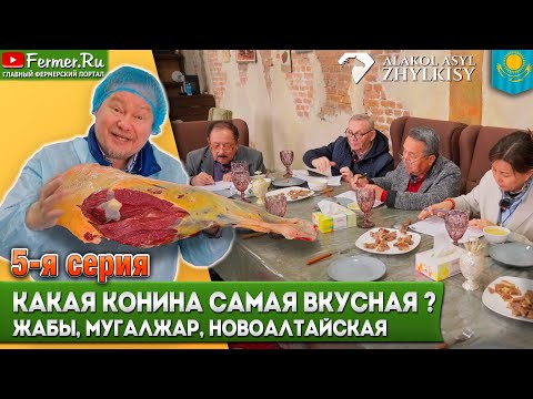 Видео: Дегустация конины с нагула. Чьё мясо вкуснее: мугалжарская жабе или новоалтайская?