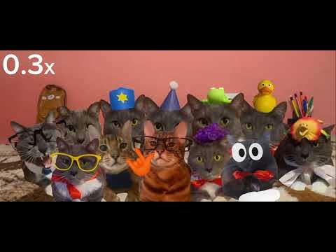 Видео: котинет заставка 2 сезона на всех скоростях