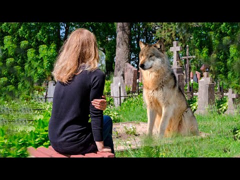 Видео: Похоронив дедушку, внучка еще не знала какое наследство он ей оставил. Это был нечто!