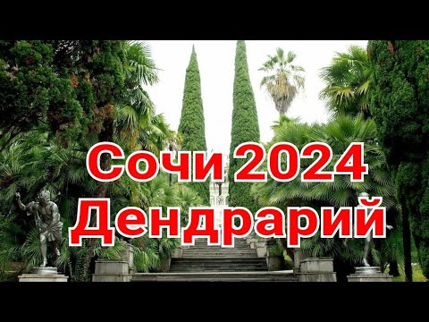 Видео: Сочи 2024. Дендрарий.