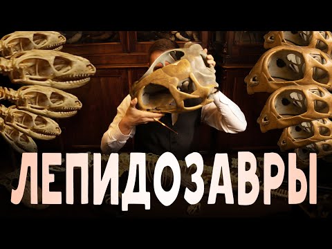 Видео: Лепидозавры. Строение скелета клювоголовых, ящериц и змей. Рассказывает Павел Скучас.