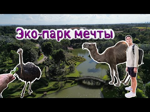 Видео: 4K: Знакомство с дикой природой в Чиангмае, как никогда раньше, в эко-парке и зоопарке ( Таиланд).