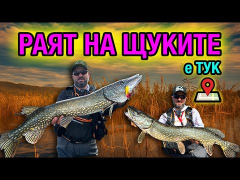 Видео: Езерото ПЪЛНО с ЩУКИ - проверих дали са още ТАМ!