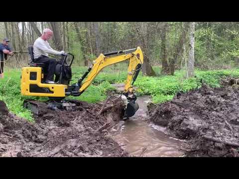 Видео: 25 апреля 2025 г.