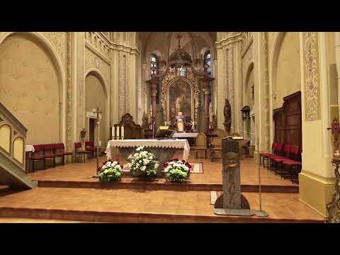Видео: Четвер ХХІІІ Звичайного періоду, 11.09.2025 р.