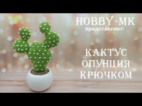 Видео: Кактус Опунция крючком (авторский МК Светланы Кононенко)