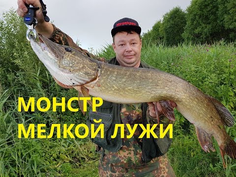 Видео: Бой с Трофейной Щукой! Воблер который приносит Щук 7+ кг.