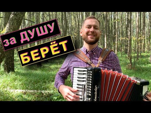 Видео: ЛЮБЭ - БЕРЁЗЫ кавер на Аккордеоне | Берёзы шумят на баяне | Безруков песня Березы