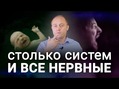 Видео: ПРИМИТИВНЫЕ РЕФЛЕКСЫ. Вегетативный аспект здоровья