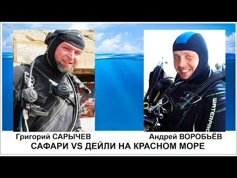 Видео: Сафари vs Дейли на Красном море