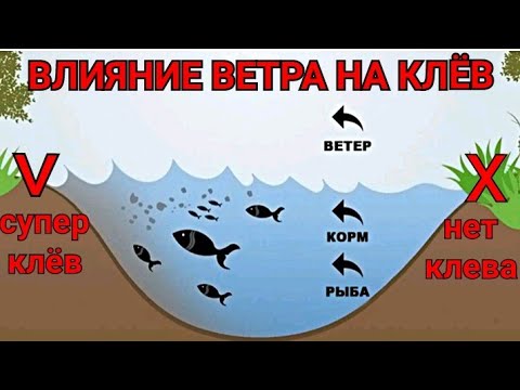 Видео: То, что Ты Не Знал о Ветре/Влияние Ветра на Клёв Рыбы/Где Ловить в Ветер?