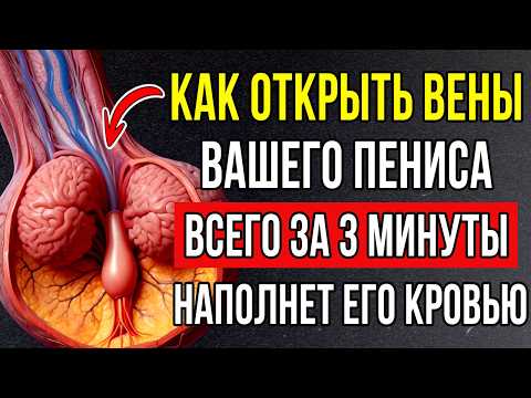 Видео: Это Должен Знать Каждый Мужчина Старше 60 лет - Как ПРОБИТЬ сосуды и ОТКРЫТЬ вены всего за 3 МИНУТЫ