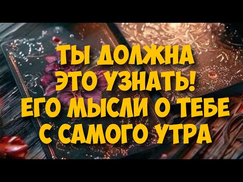 Видео: МЫСЛИ 💭 МУЖЧИНЫ О ВАС СЕЙЧАС 🚀❤️❤️‍🩹 current feeling of partner #тароегомысли #таро #онобомне #tarot