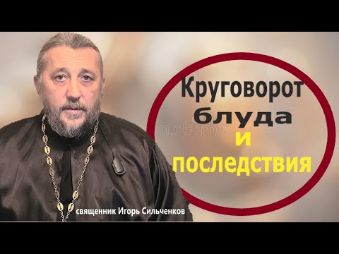 Видео: Духовные последствия блудных отношений. Священник Игорь Сильченков.