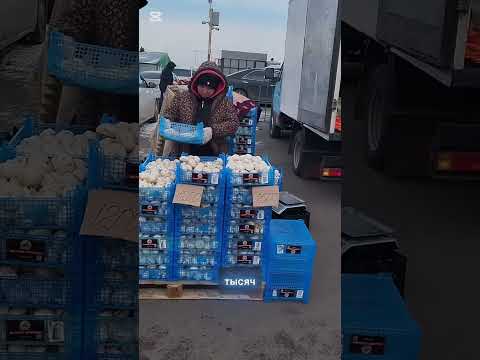 Видео: 8 ноября 2025 г.