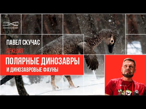 Видео: Полярные Динозавры. Павел Скучас