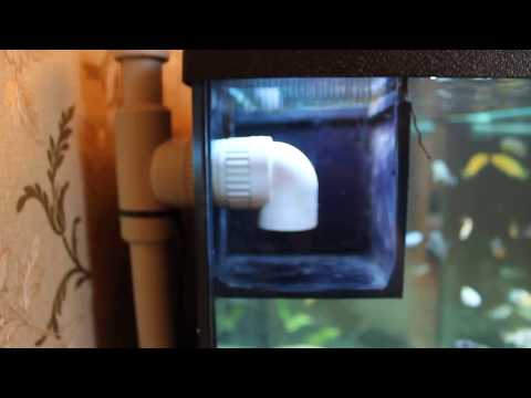 Видео: Перелив Дюрсо