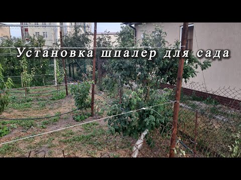 Видео: Установка шпалер для интенсивного сада(timelapse)