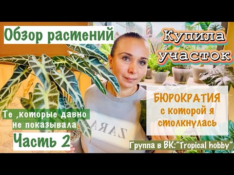 Видео: Обзор растений. Часть 2. Давно их не показывала. Купила участок столкнулась с бюрократией🤷🏻‍♀️