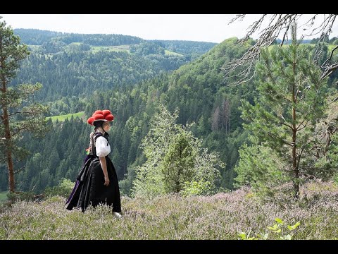 Видео: Triberg - Сказка продолжается. Не узнаю Германию. Водопады . Река в цветах радуги.