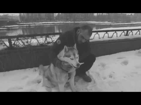 Видео: Liter Jack - Нищо за мен (Official video) Pez Beats