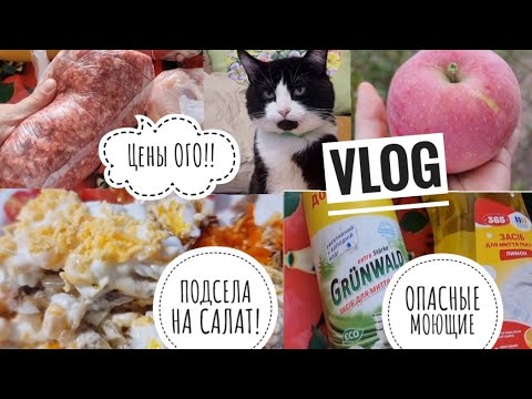 Видео: 14. ПРОСТО ПОКАЗАЛА  ПЕРЕСЕЛЕНЦЕВ В ЭВАКУАЦИИ. МЕДЛЕННАЯ ЖИЗНЬ.