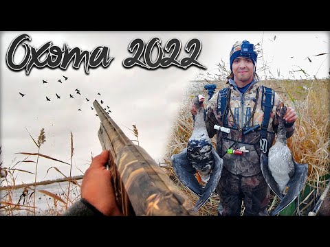 Видео: Долгожданные трофеи осеннего сезона | Суперская охота на гусей и уток