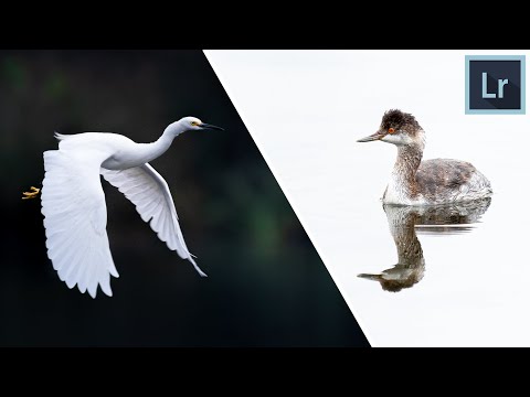 Видео: Низкий и высокий ключ | КАК редактировать в LIGHTROOM