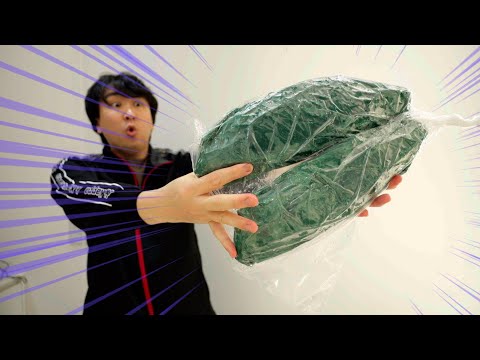 Видео: Я купил «японскую ставриду», которая стоит двадцать тысяч иен за штуку, и это был большой шок.