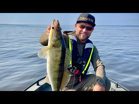 Видео: Судаки кидались как собаки на мою приманку! Киевское водохранилище 2021