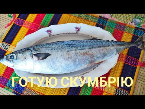 Видео: Готую СКУМБРІЮ незвичним способом...