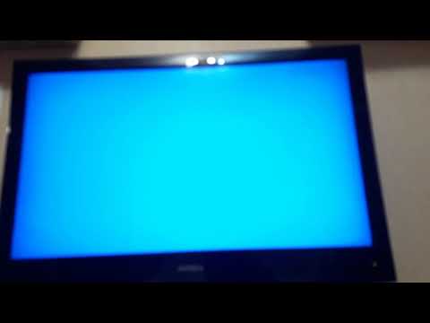 Видео: Обзор на DVD-диск 38 попугаев