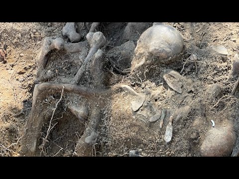 Видео: Откопали 68 советских солдат 104 дивизии павших в бою.1часть/Dug up 68 soldiers who died in battle