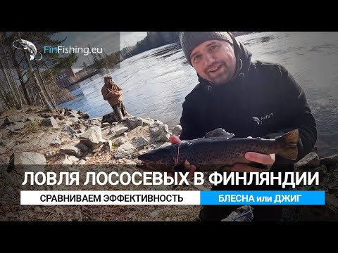 Видео: Ловля лососевых на блесну и джиг в реках Финляндии.