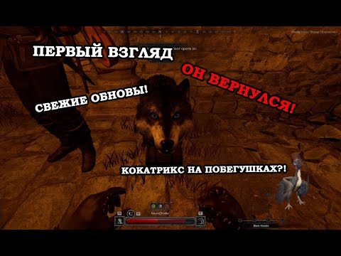 Видео: PVE РЕЖИМ. Первый взгляд на обновления [Dark and darker] #darkanddarkernews #darkanddarkergameplay