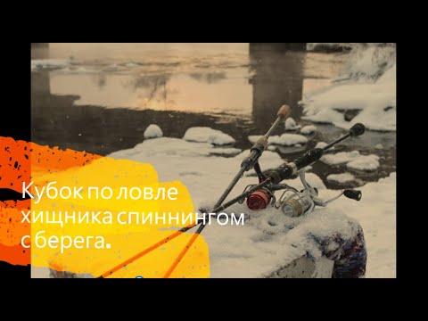 Видео: ЗИМНИЙ СПИННИНГ. Кубок по ловле хищника.