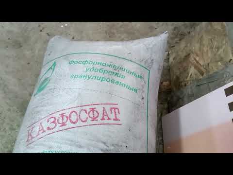 Видео: Сидераты и внесение осенних удобрений.