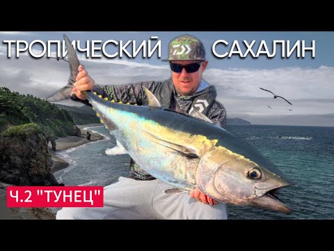 Видео: САХАЛИН! ТУНЕЦ на жереховую приманку! Bluefin tuna.