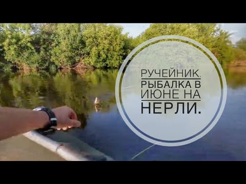 Видео: На ручейника в проводку с лодки