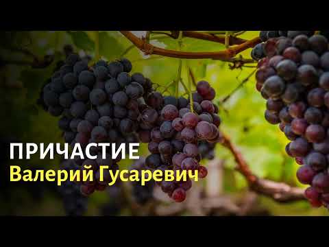 Видео: Причастие. Валерий Гусаревич. 