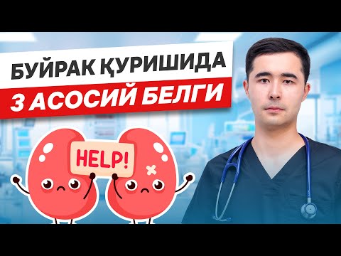 Видео: БУЙРАКЛАР ТИНЧ УЛАДИ. БУ БЕЛГИЛАРНИ УТКАЗИБ ЮБОРИШ ХАВФЛИ