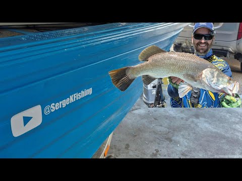 Видео: Рыбалка на баррамунди в грязной воде в Таунсвилле