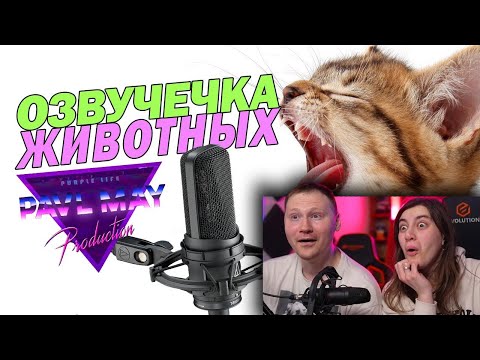 Видео: БРАТЬЯ НАШИ МЕНЬШИЕ \ ОЗВУЧЕЧКА \ РЕАКЦИЯ на PAVL MAY