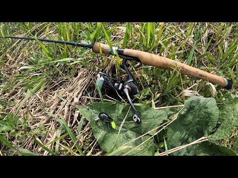 Видео: Этот ВОБЛЕР я одел, и дело пошло! Голавль на СПИННИНГ!