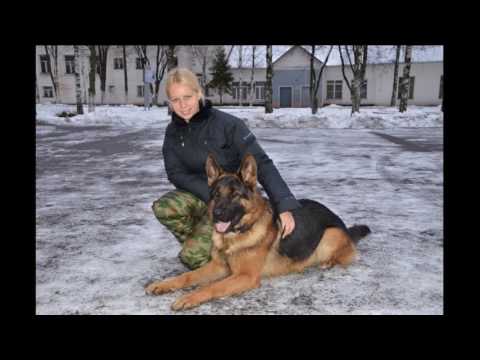 Видео: Клип Верность